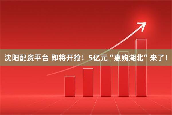沈阳配资平台 即将开抢！5亿元“惠购湖北”来了！